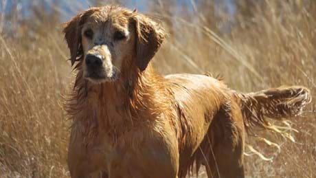 Flirt Play In Waterjpg