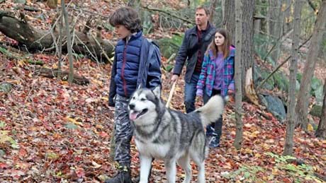 Hero Dog With Family 2000