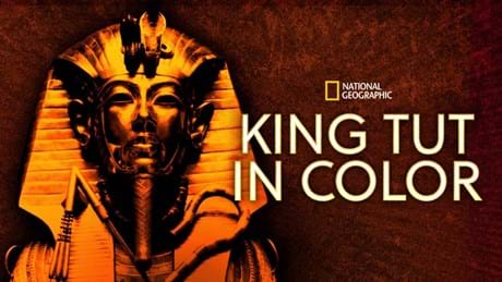 King Tut In Color 2022 KV