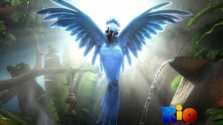 Rio 2011 1