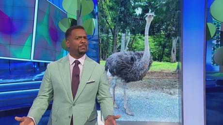 AMERICAS FUNNIEST HOME VIDEOS ANIMAL EDITION 2 DOGS MAKE TERRIBLE BABYSITTERS 001 211.JPG