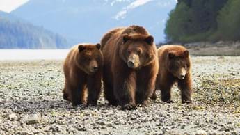 Factual & reality highlights on DStv Premium this November 