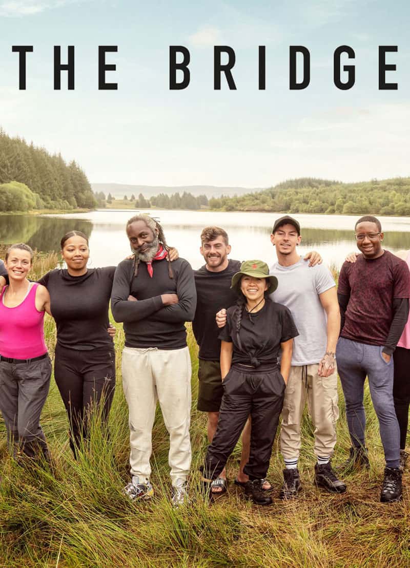 The Bridge UK S1
