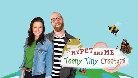 Pet & Me Teeny Tiny Creatures 4