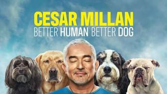 Cesar Millan: Better Human Better Dog on DStv 
