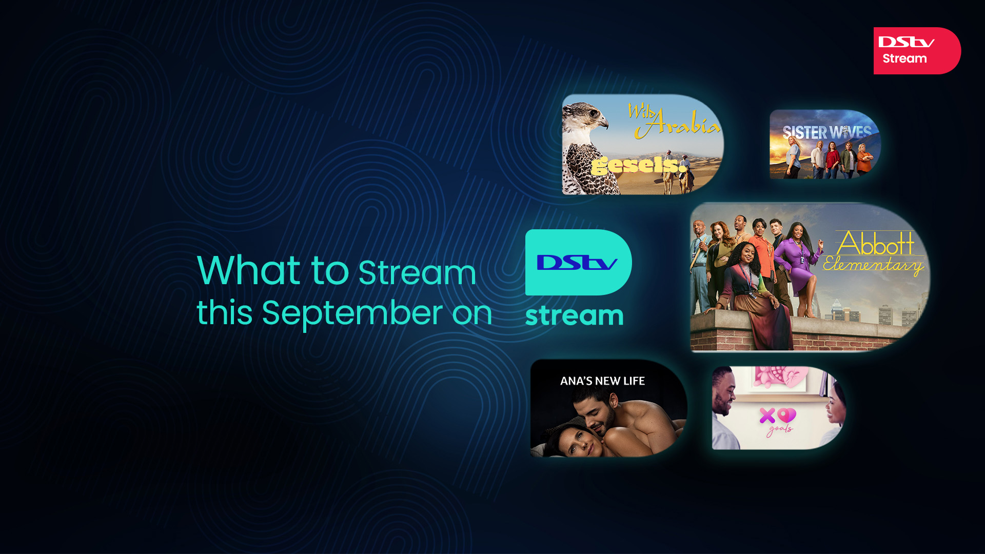 What to stream this September on DStv Access 2024