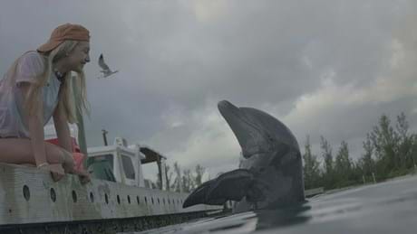 Dolphin Island EPG 2021