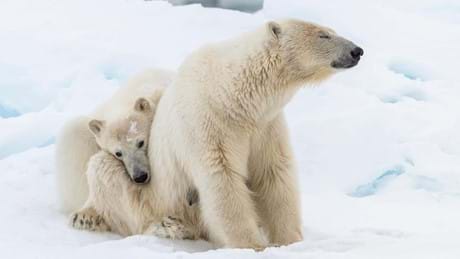 Frozen Planet II 01 003