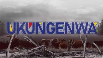 Ukungenwa: It’s going to get messy!