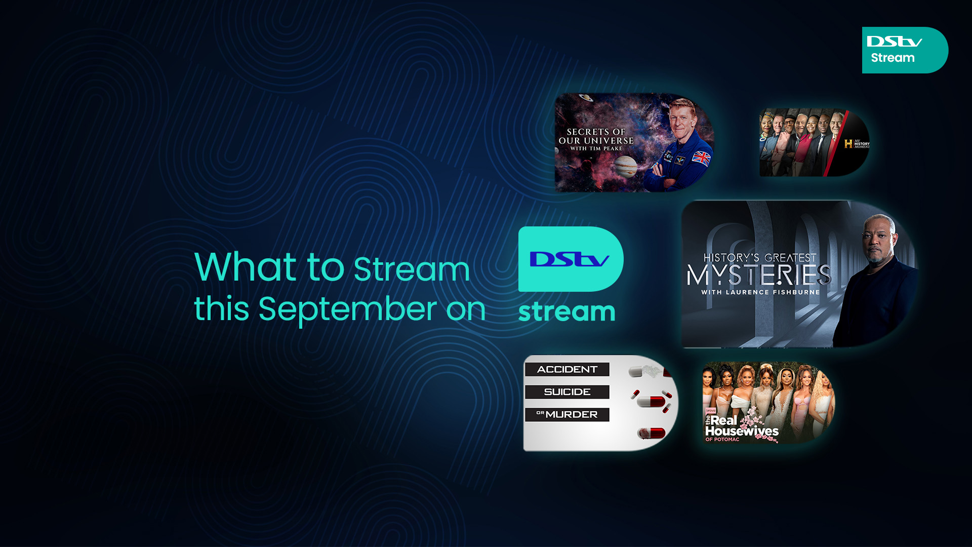 What to stream this September on DStv Compact Plus 2024
