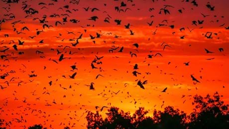 Perfect Planet Weather 03 001