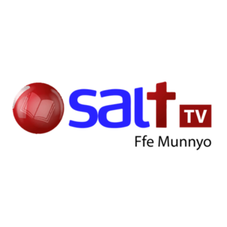 SALT TV