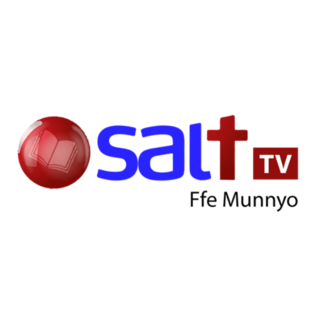 373 SALT TV
