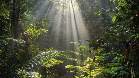 Perfect Planet The Sun 02 016