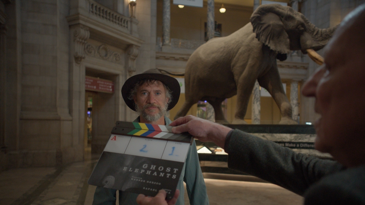 DStv is wild about nature this March