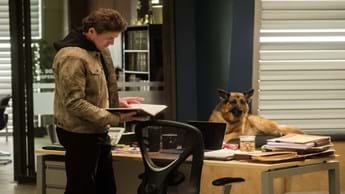 Action-packed sixth season of Hudson & Rex