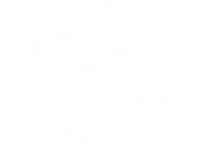 Boomerang