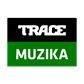 334 TRACE Muzika