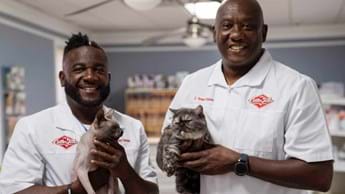 5 reasons to watch Critter Fixers with the kids