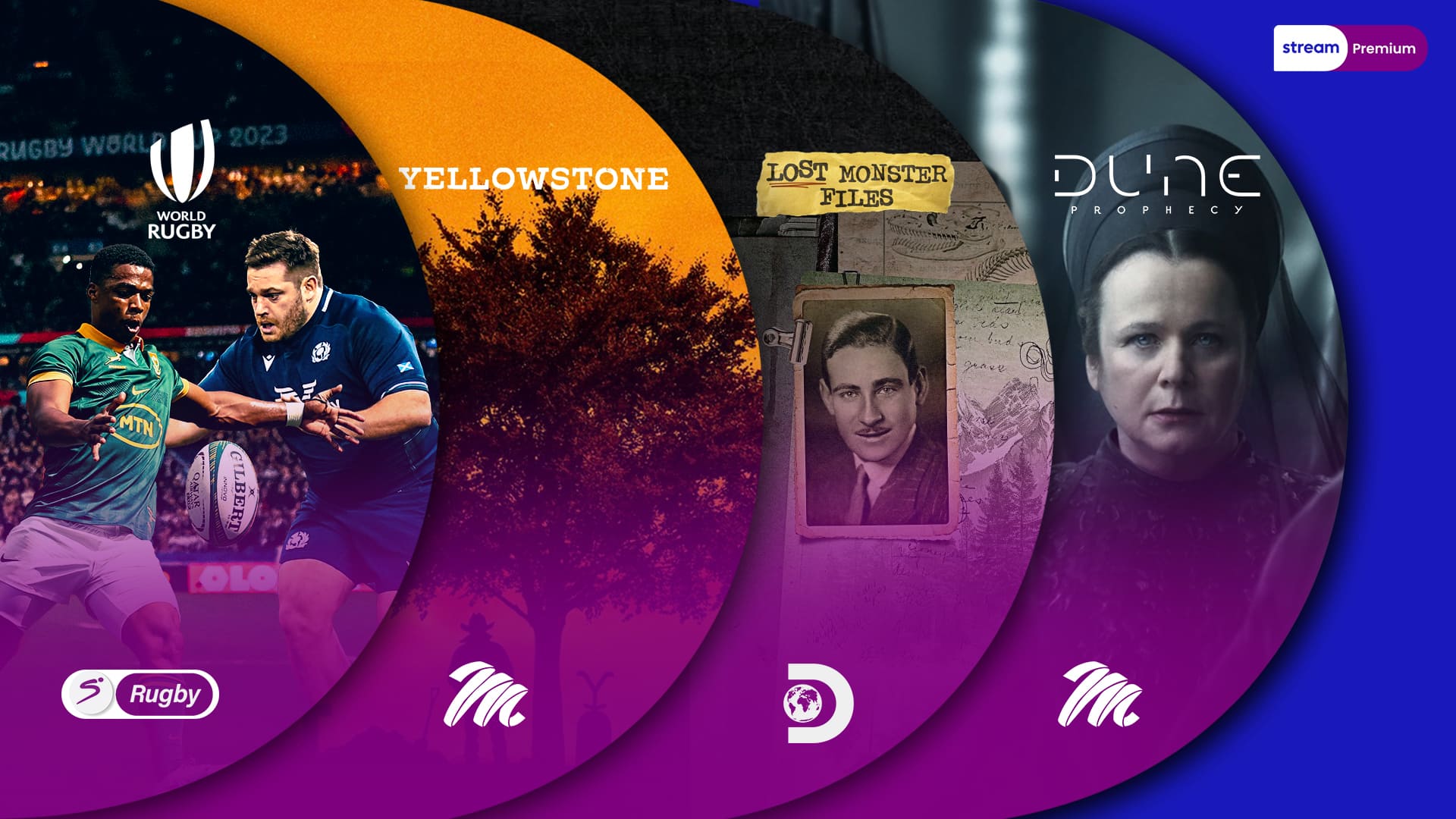  What to stream this November on DStv Premium 2024